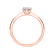 Prsten s diamantem Eternal Joy4