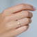 Prsten s diamanty Gem Simplicity4