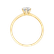 Prsten s diamantem Eternal Joy4