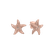 Náušnice s diamantem Glossy Starfish3